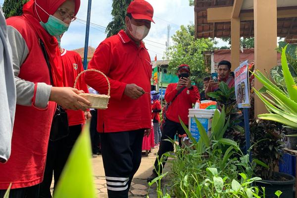 WALI KOTA MAGELANG APRESIASI HASIL PANEN KELOMPOK WANITA TANI KELURAHAN POTROBANGSAN