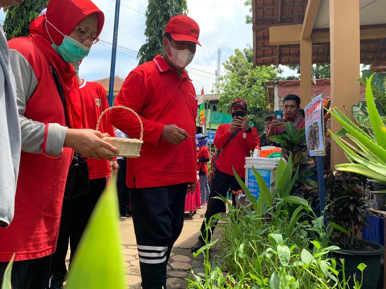WALI KOTA MAGELANG APRESIASI HASIL PANEN KELOMPOK WANITA TANI KELURAHAN POTROBANGSAN