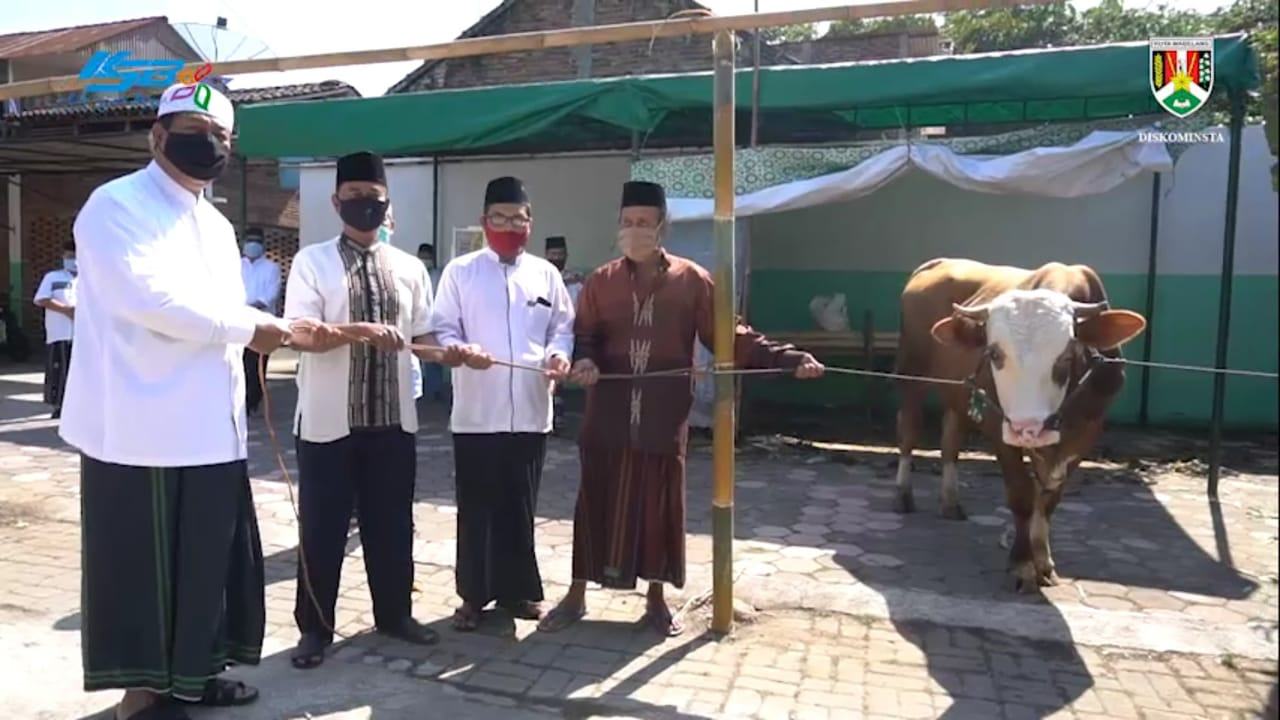 WALI KOTA MAGELANG LAKUKAN SAFARI IDUL ADHA 1441 H