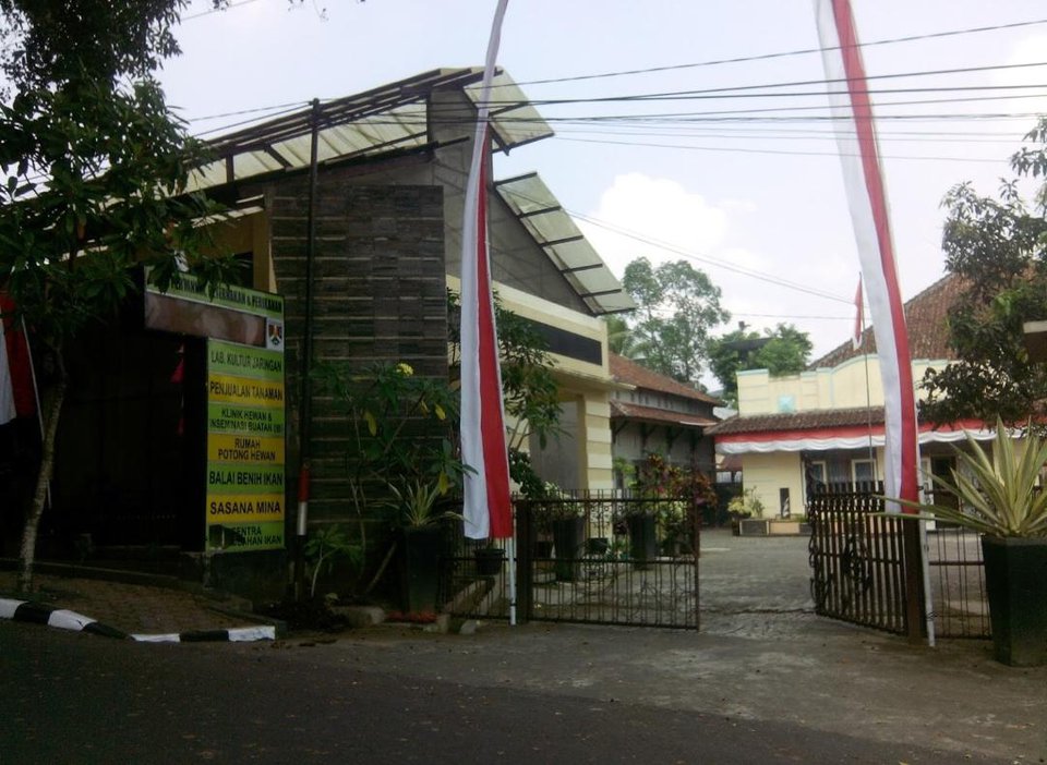 pertanian