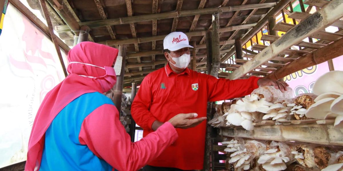 WALI KOTA MAGELANG BANGGA DENGAN KREATIFITAS DAN INOVASI WARGA JURANG OMBO SELATAN
