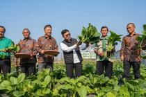 Kota Magelang Bergerak Hadapi Perubahan Iklim pada Hari Lingkungan Hidup Sedunia 2026